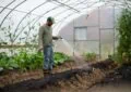Sustainable Watering Practices: Conserving Water In Your Garden
