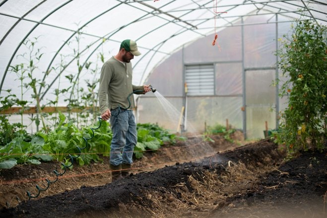 Sustainable Watering Practices: Conserving Water In Your Garden