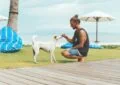 Can Dogs Eat Vegan Diets Safely?