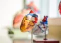 Why Is Cardiovascular Endurance Important And How To Improve Your Cardiovascular Fitness?