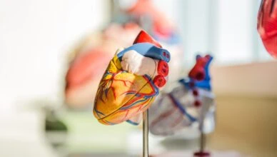 Why Is Cardiovascular Endurance Important And How To Improve Your Cardiovascular Fitness?