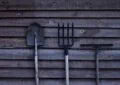 Essential Tools For Every Gardener: A Comprehensive Guide 5 Essential Tools For Every Gardener: A Comprehensive Guide