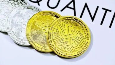 Diverse World of Altcoins: How They Differ and Compete With Bitcoin