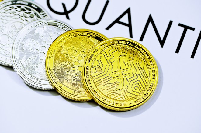 Diverse World of Altcoins: How They Differ and Compete With Bitcoin