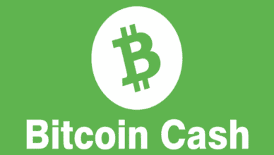 What Is Bitcoin Cash (Bch): the Offshoot of Bitcoin