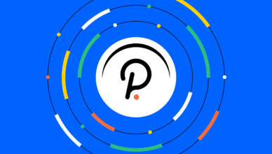 What Is Polkadot (Dot): a Guide to the Multichain Protocol for Interoperability