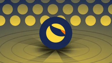 What Is Terra (Luna): Understanding the Stablecoin and Defi Platform