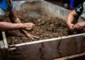 What Is Composting And How To Start A Compost Pile In Your Garden