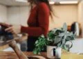 Growing Herbs At Home: Creating A Flavorful Herb Garden