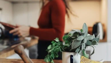Growing Herbs At Home: Creating A Flavorful Herb Garden