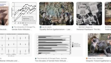 Gauthier's The Egalitarian Revolution - Summary and Review