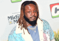 TPain Net Worth: Real Name, Age, Bio, Family, Career and Awards 3 TPain Net Worth: Real Name, Age, Bio, Family, Career and Awards