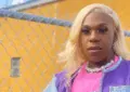 Big Freedia Net Worth: Real Name, Age, Biography, Family, Career and Awards 3 Big Freedia Net Worth: Real Name, Age, Biography, Family, Career and Awards